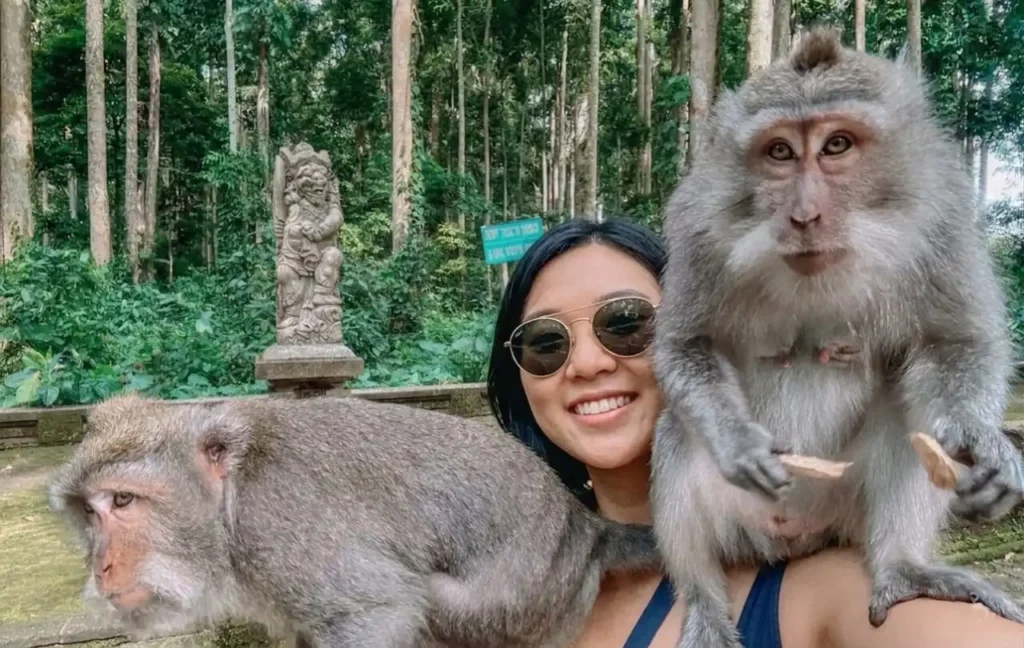 Ubud Monkey Forest