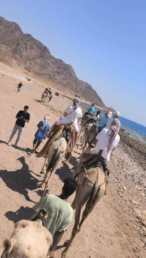 A Day Trip to Dahab If